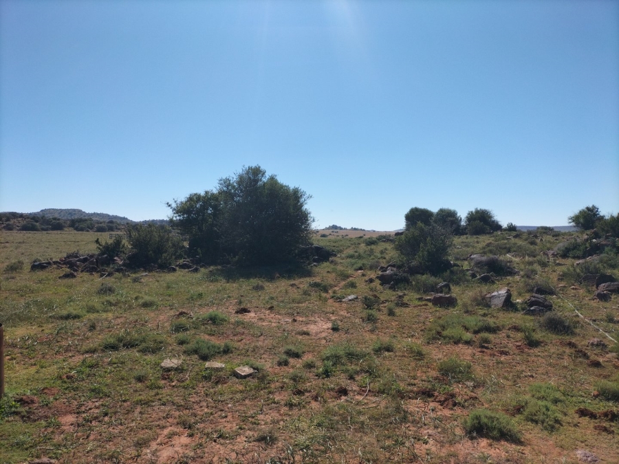 4 Bedroom Property for Sale in Bloemfontein Rural Free State